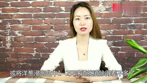 年轻的嫂子：难以忍受的味道,一场家庭矛盾的爆发